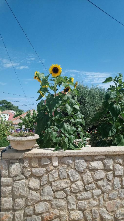 Apartmani Antonio Veli Lošinj Buitenkant foto